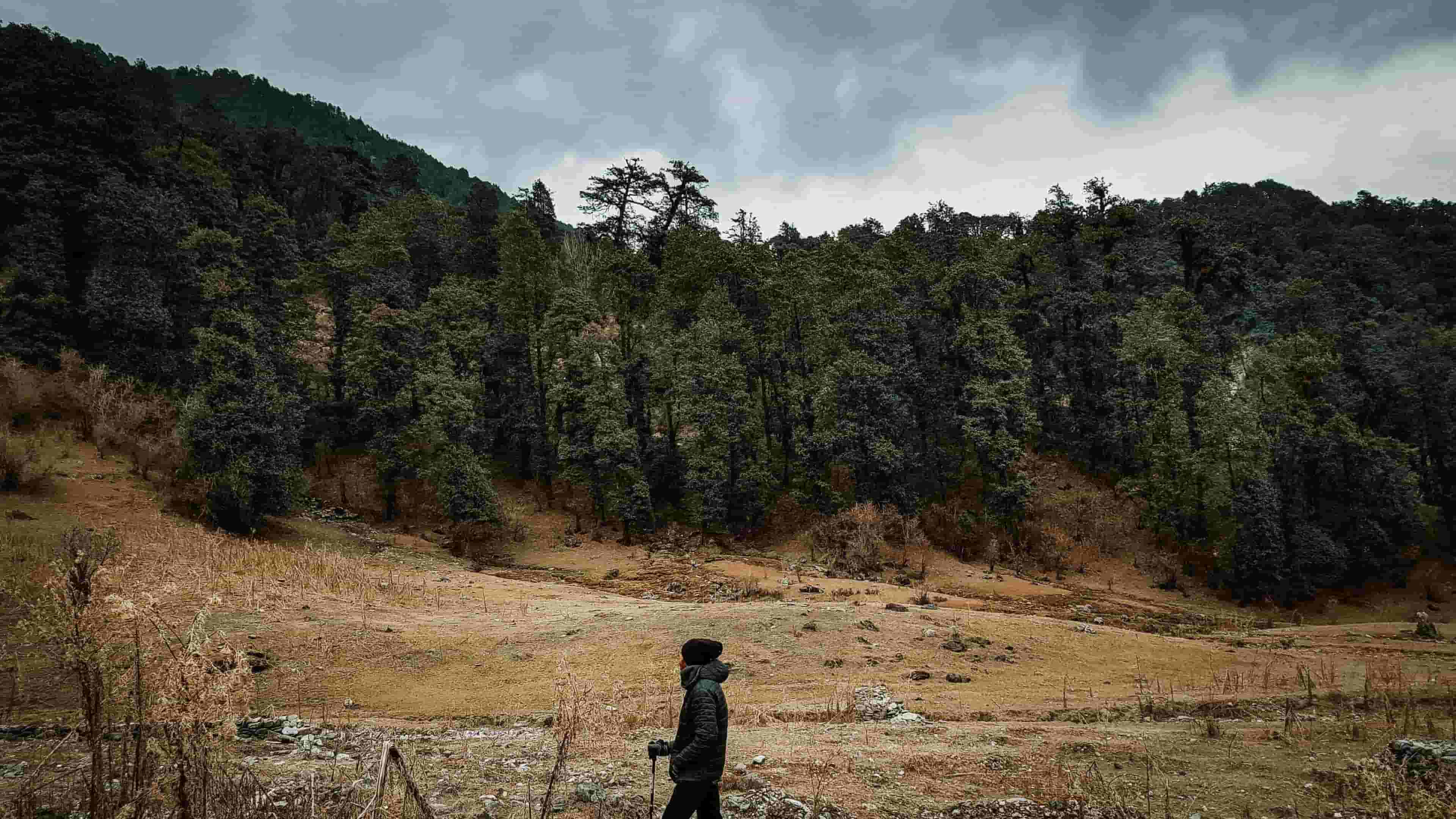 Divij Jain